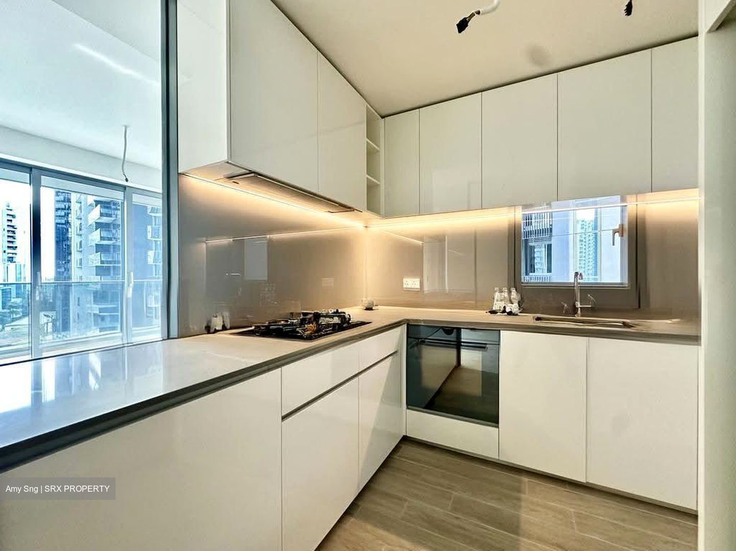 Amber Park (D15), Condominium #624784941